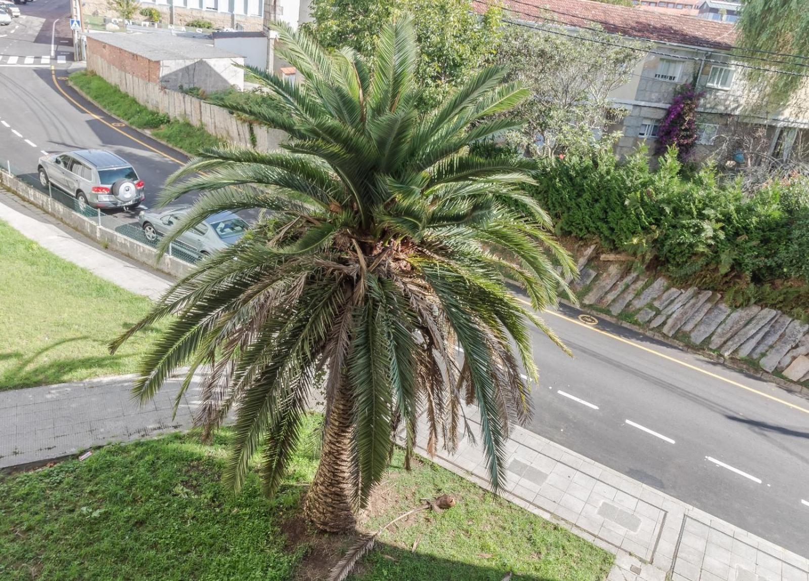 Apartamento Peces De Madera Sanxenxo Dış mekan fotoğraf